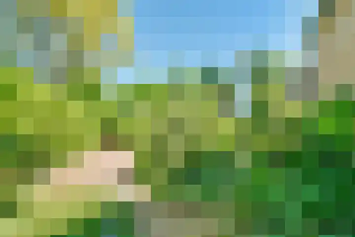 Zandbergenlaan 18 Amersfoort thumbnail 53