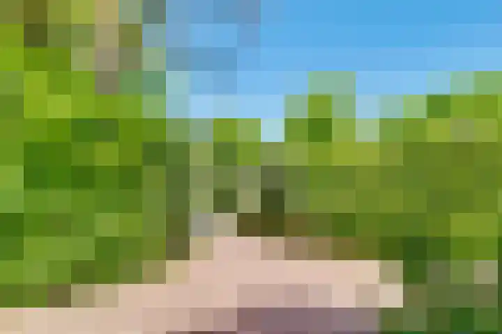 Zandbergenlaan 18 Amersfoort thumbnail 54