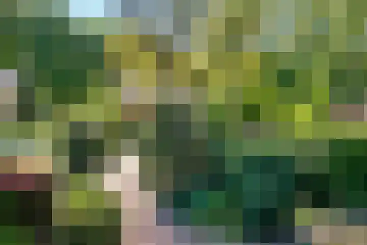 Zandbergenlaan 18 Amersfoort thumbnail 58