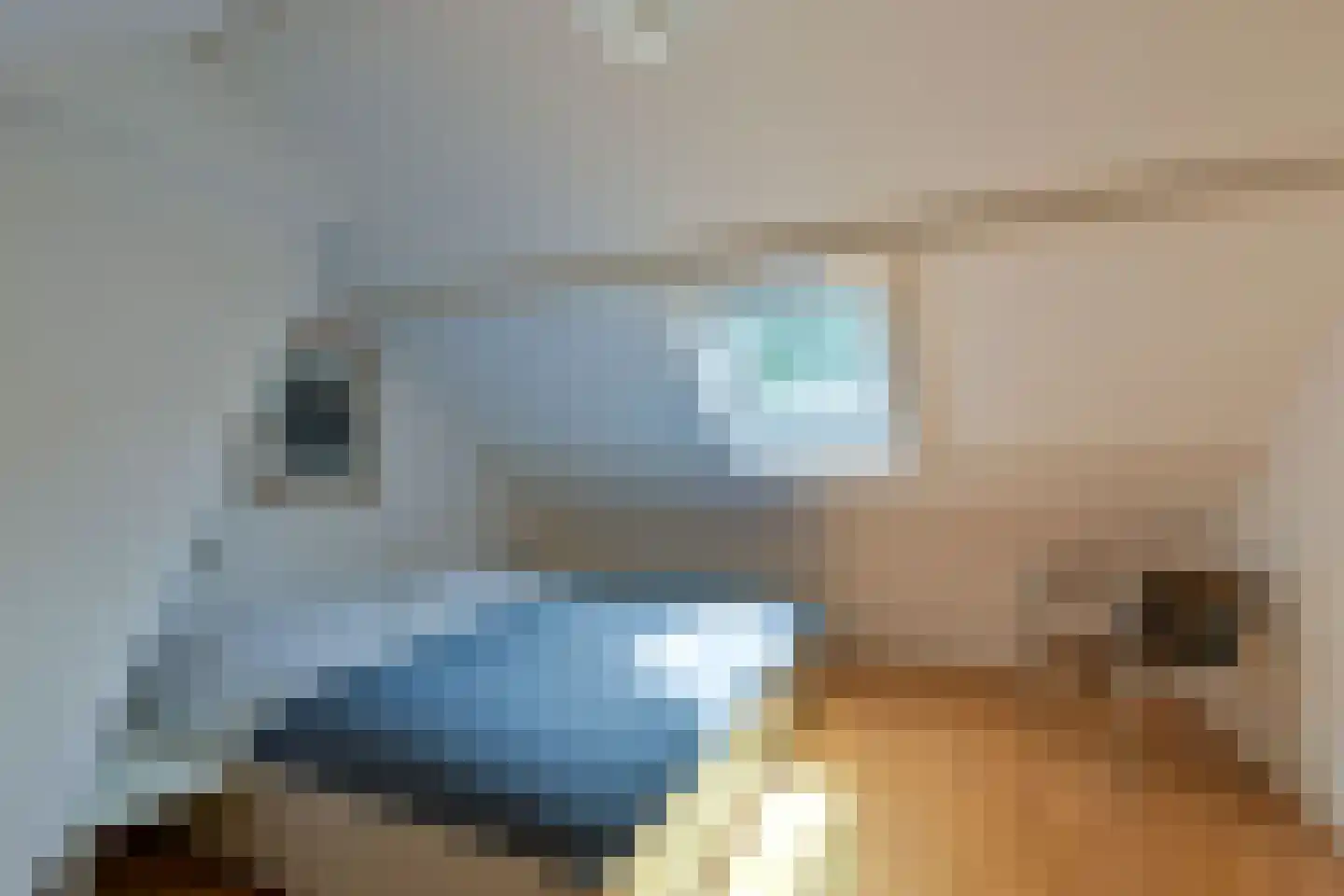 Zandbergenlaan 32 Amersfoort thumbnail 21