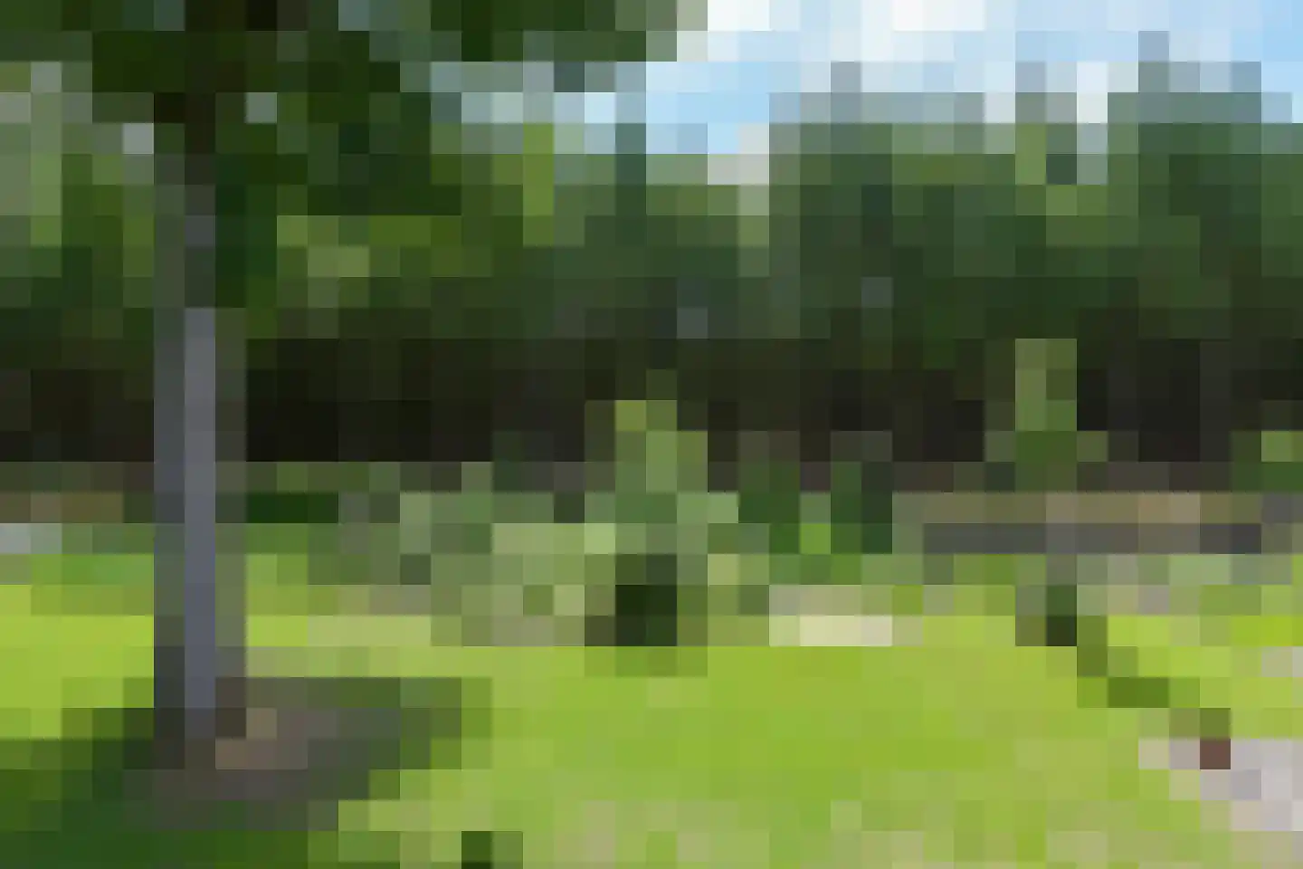 Zandbergenlaan 32 Amersfoort thumbnail 26
