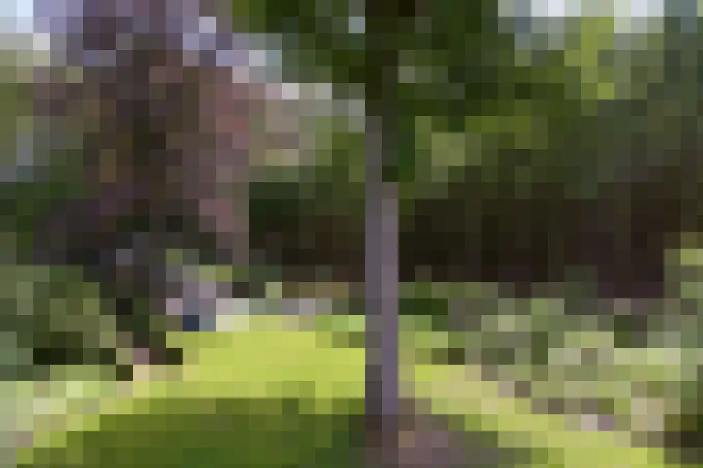Zandbergenlaan 32 Amersfoort thumbnail 27