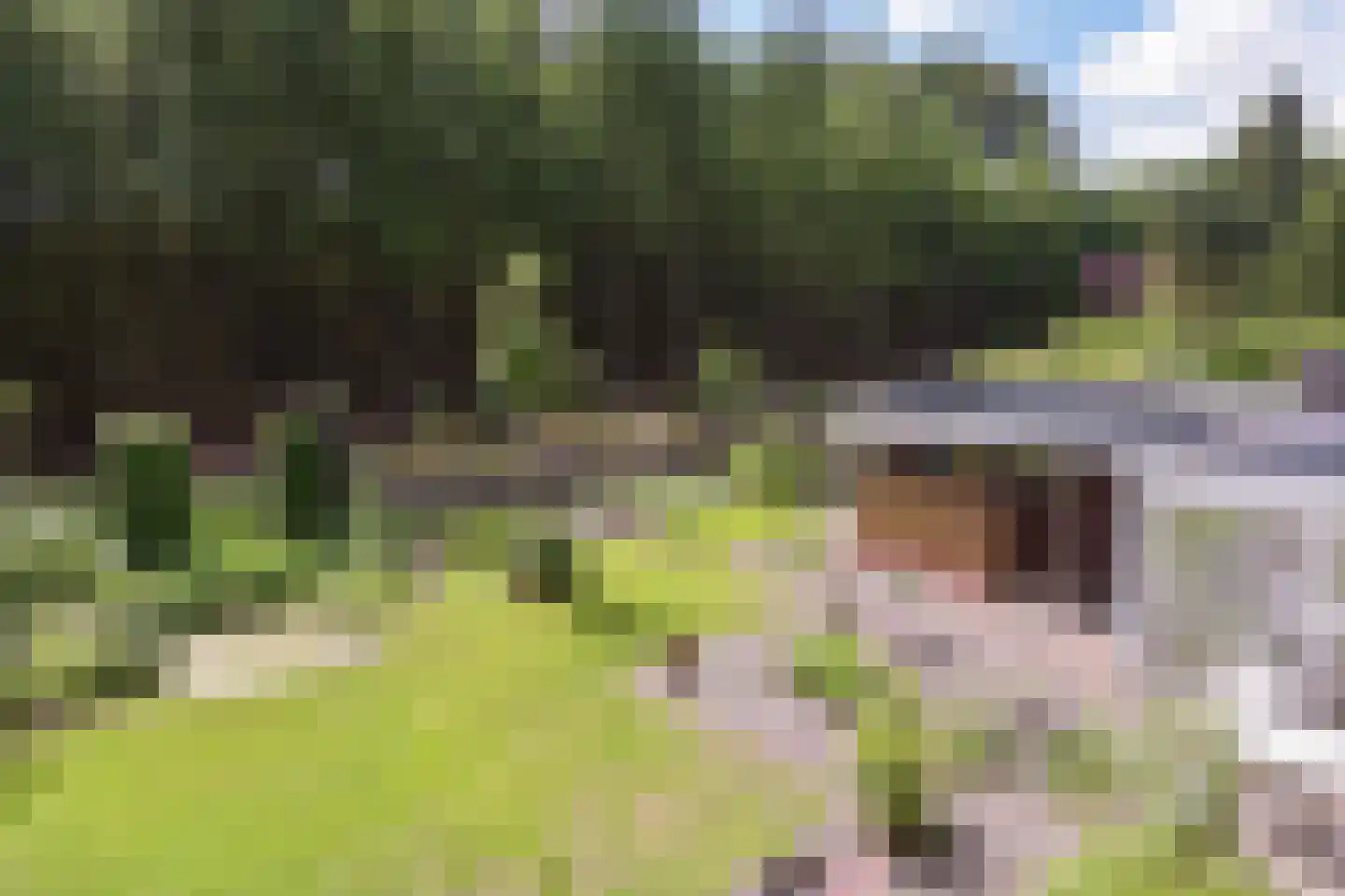 Zandbergenlaan 32 Amersfoort thumbnail 28