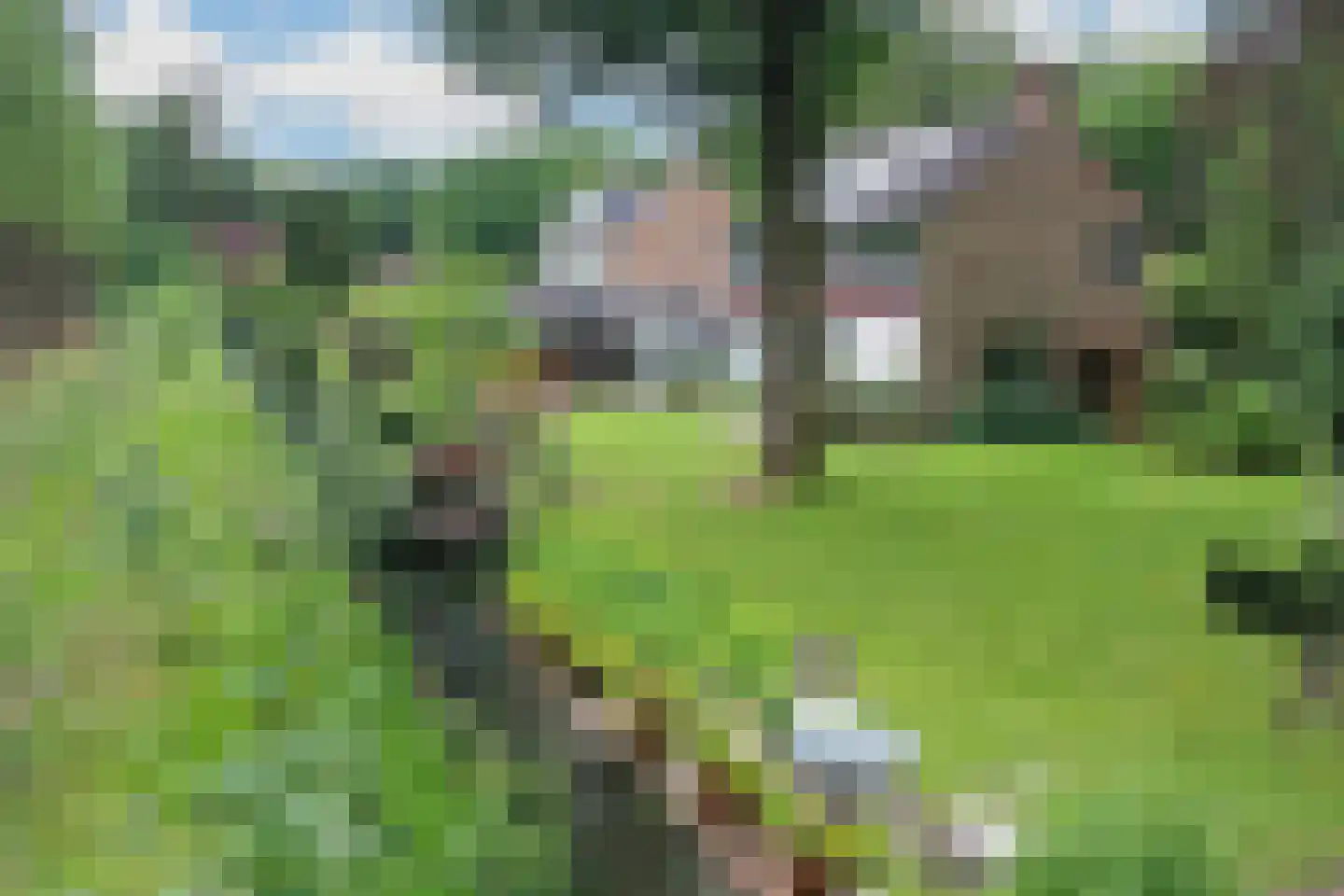 Zandbergenlaan 32 Amersfoort thumbnail 29