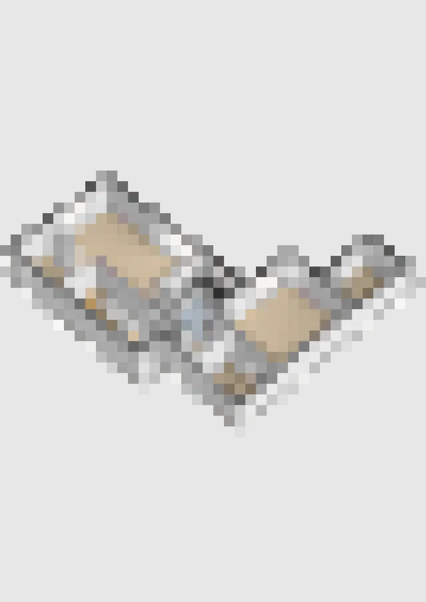 Zandbergenlaan 32 Amersfoort thumbnail 39