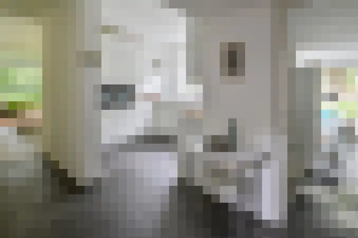 Zandbergenlaan 32 Amersfoort thumbnail 6