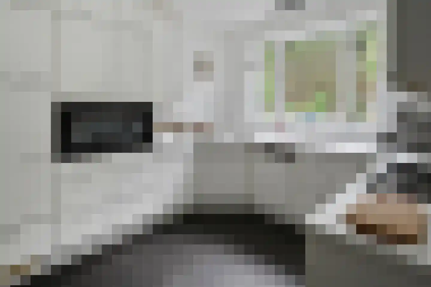 Zandbergenlaan 32 Amersfoort thumbnail 7
