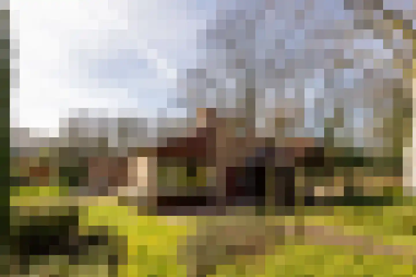 Zandbergenlaan 36 Amersfoort thumbnail 31