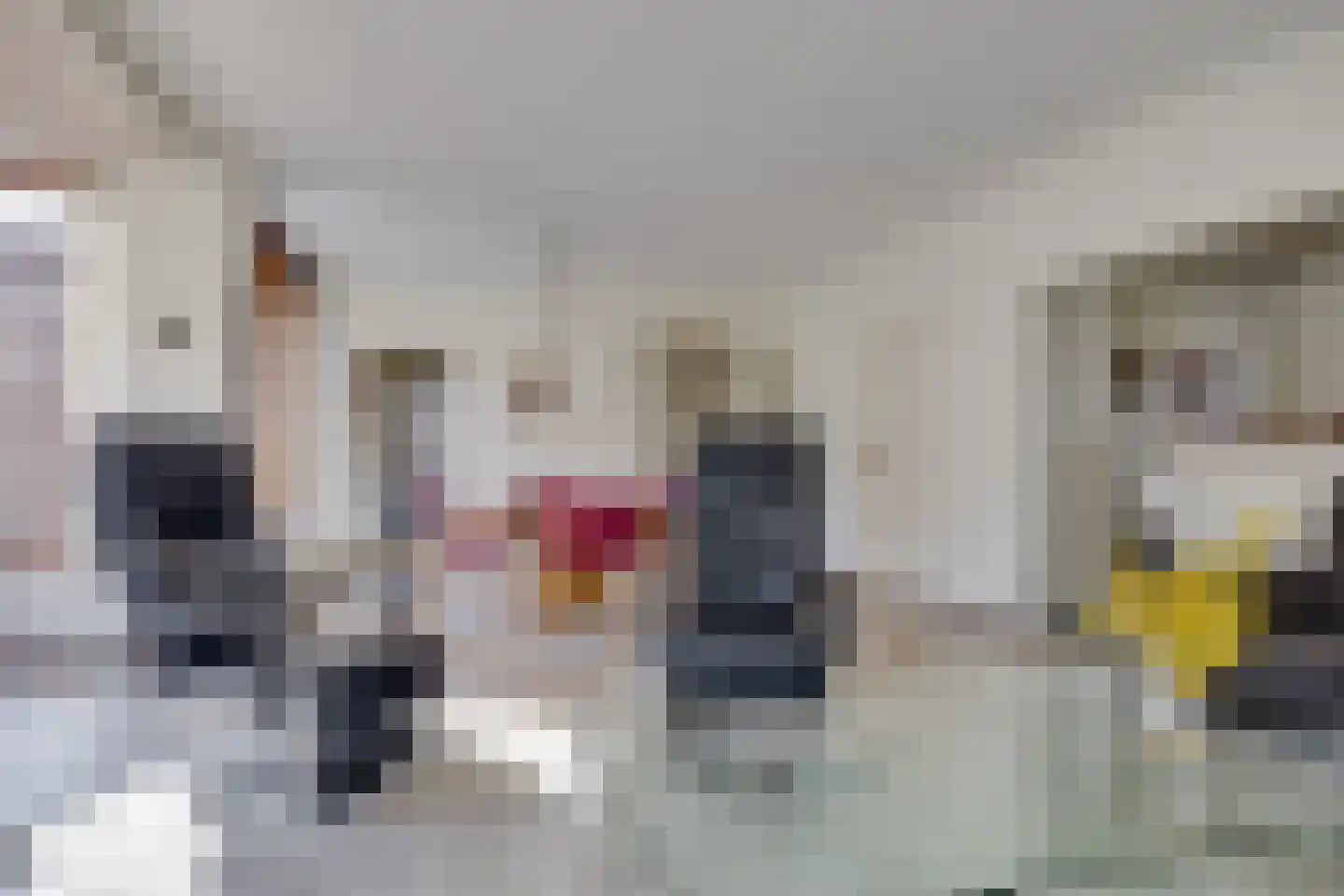 Zandbergenlaan 36 Amersfoort thumbnail 5