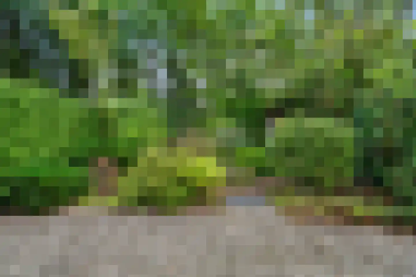 Zandbergenlaan 49 Amersfoort thumbnail 36