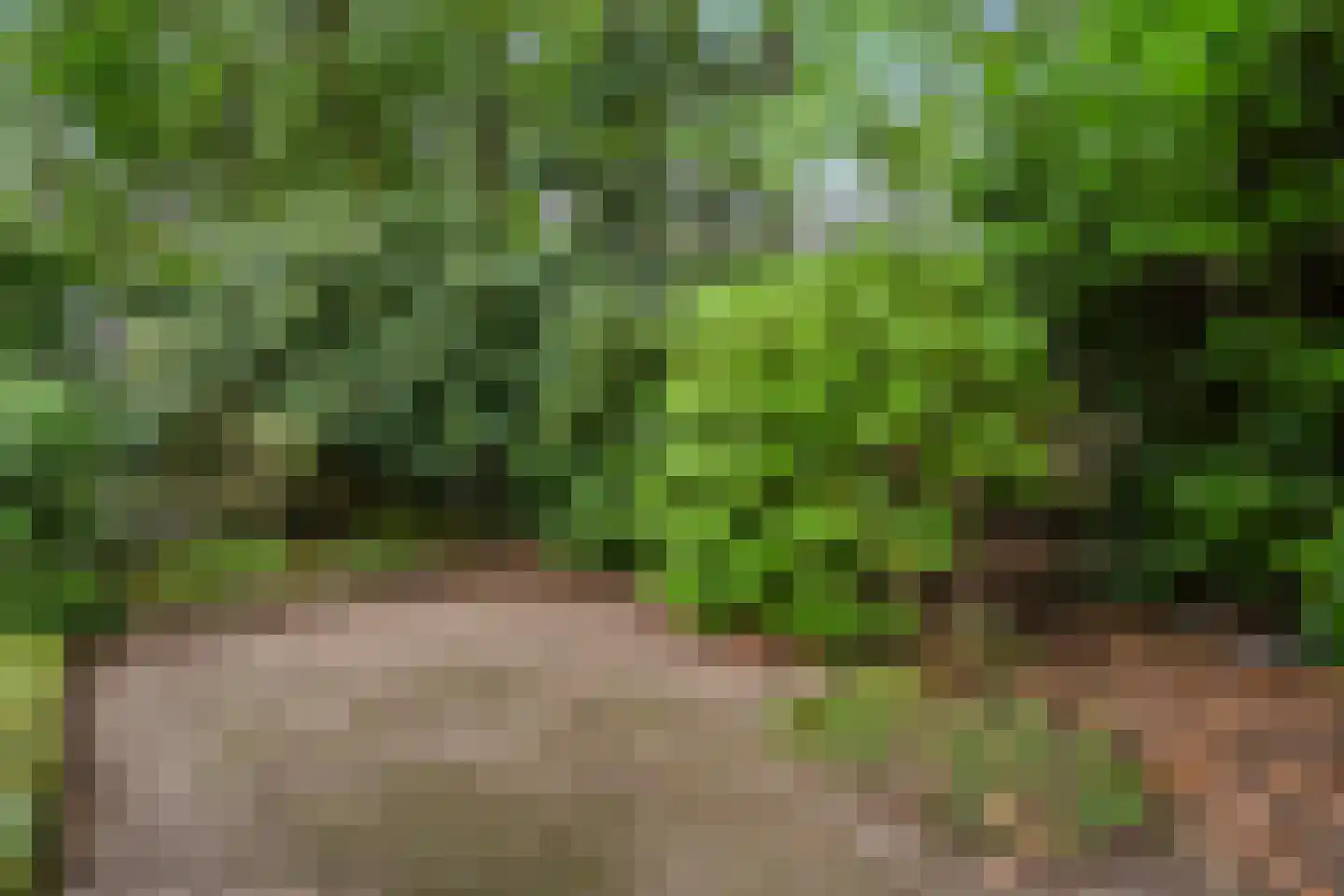 Zandbergenlaan 49 Amersfoort thumbnail 39