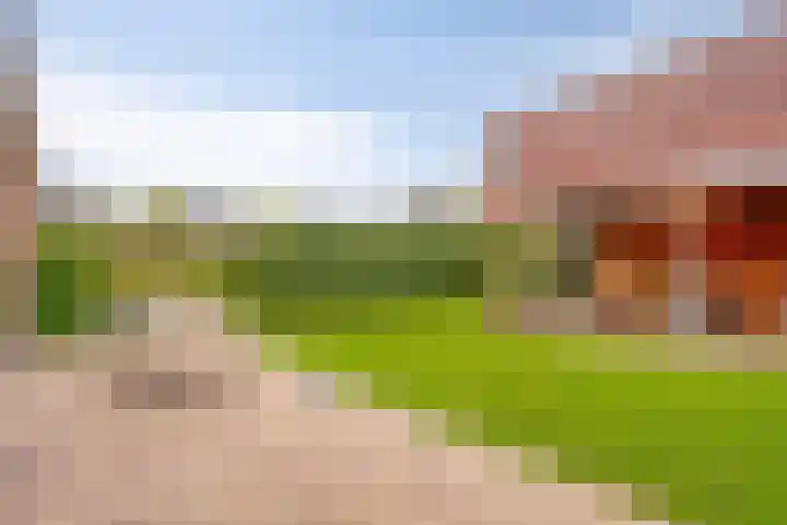 Zandbergenstraat 14 Oegstgeest thumbnail 36