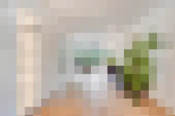 Zandbergenstraat 14 Oegstgeest thumbnail 5