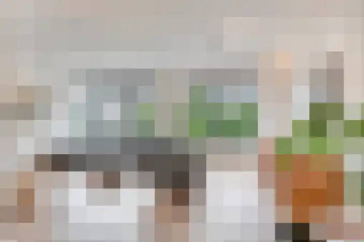 Zandbergenstraat 14 Oegstgeest thumbnail 7