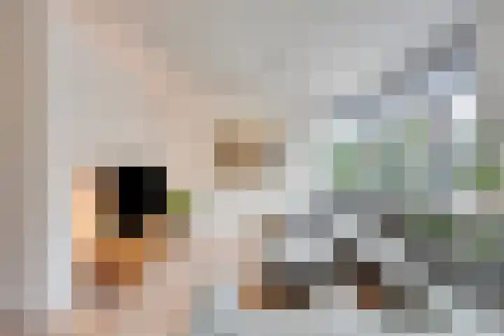 Zandbergenstraat 14 Oegstgeest thumbnail 8