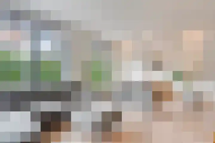 Zandbergenstraat 14 Oegstgeest thumbnail 9