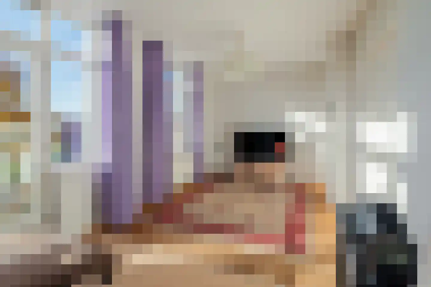 Zandberglaan 14 Breda thumbnail 17
