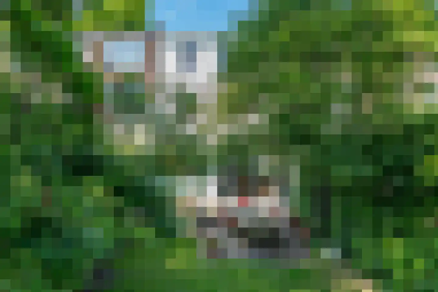 Zandberglaan 14 Breda thumbnail 23
