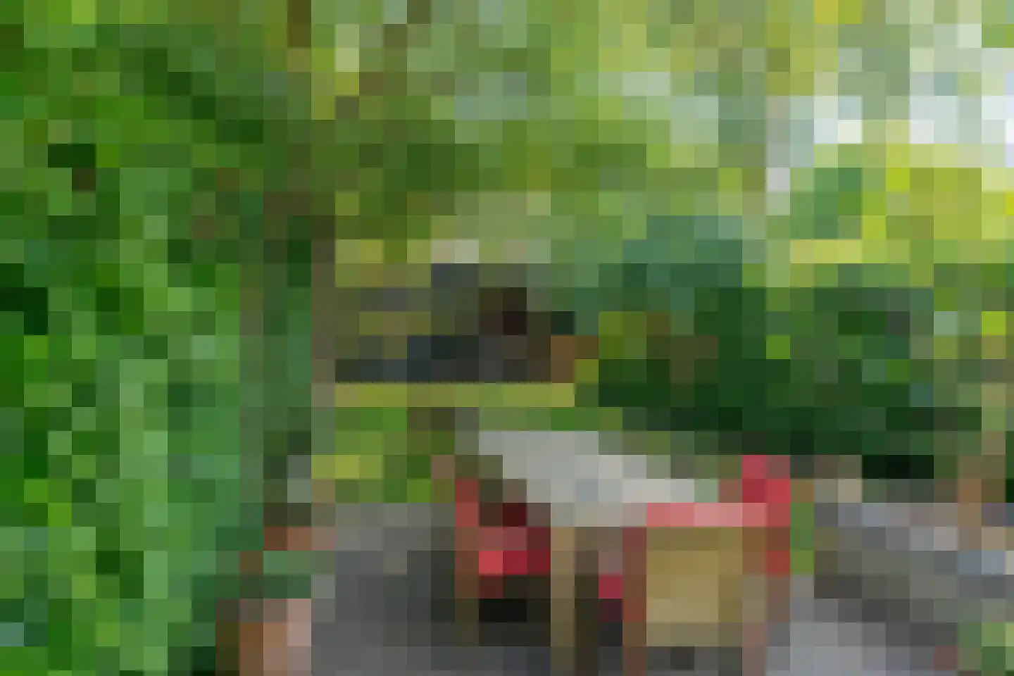 Zandberglaan 14 Breda thumbnail 24