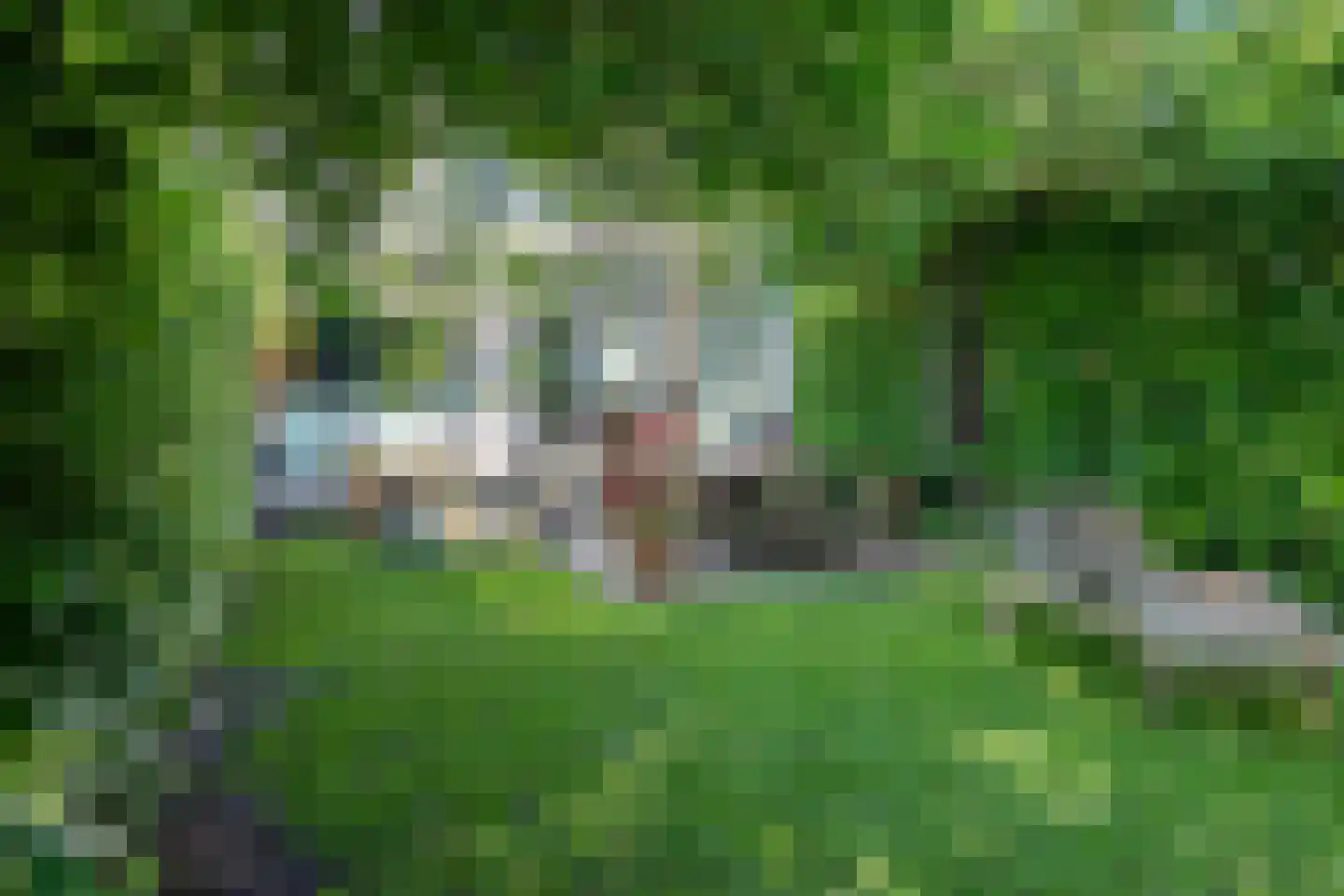 Zandberglaan 14 Breda thumbnail 25