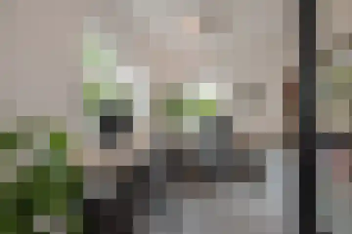 Zandberglaan 2 Den Haag thumbnail 10