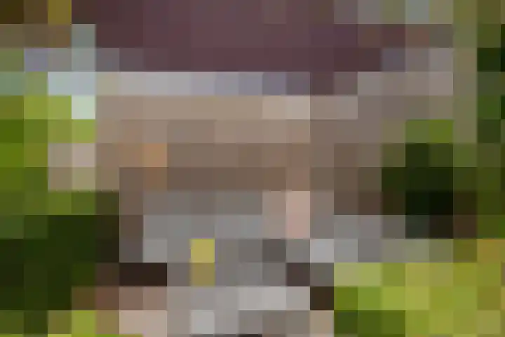 Zandberglaan 2 Den Haag thumbnail 18