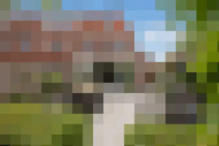 Zandberglaan 2 Den Haag thumbnail 19