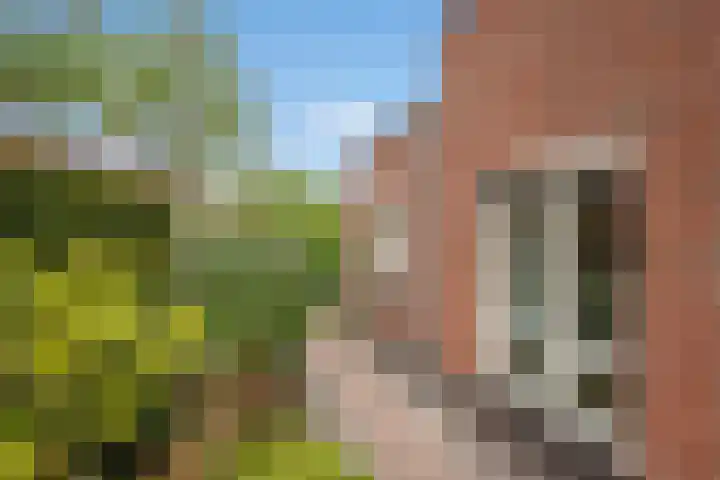 Zandberglaan 2 Den Haag thumbnail 21
