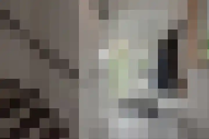 Zandberglaan 2 Den Haag thumbnail 22