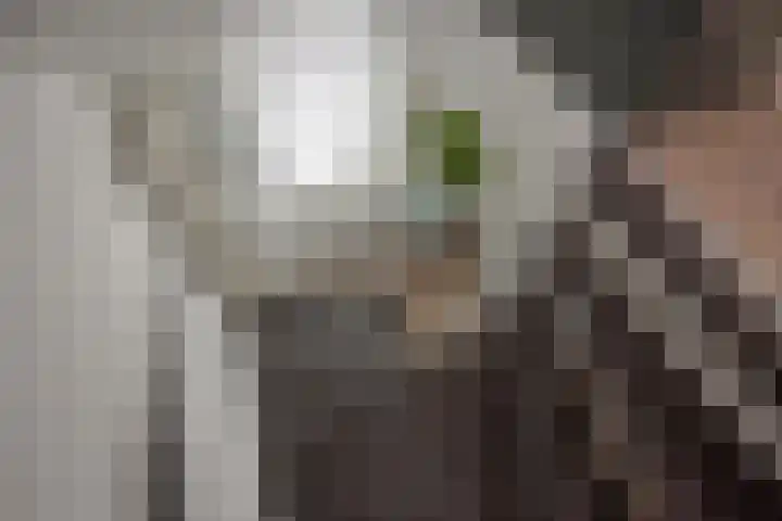 Zandberglaan 2 Den Haag thumbnail 34