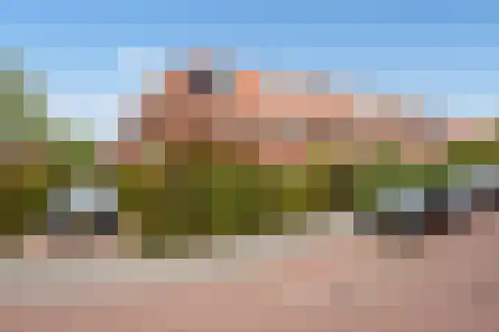 Zandberglaan 2 Den Haag thumbnail 41