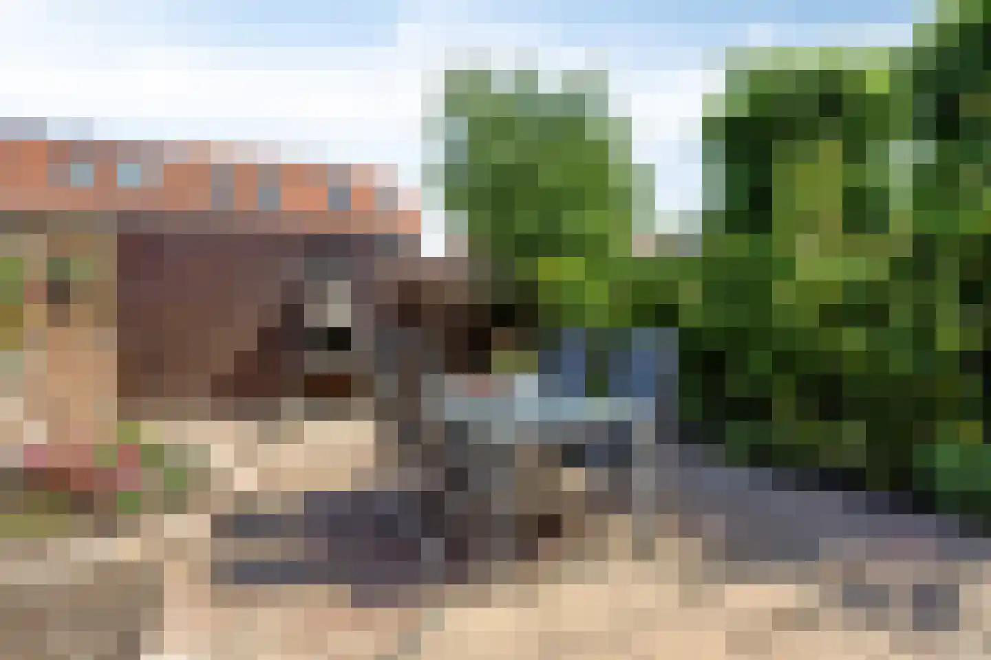 Zandberglaan 25 Den Haag thumbnail 23