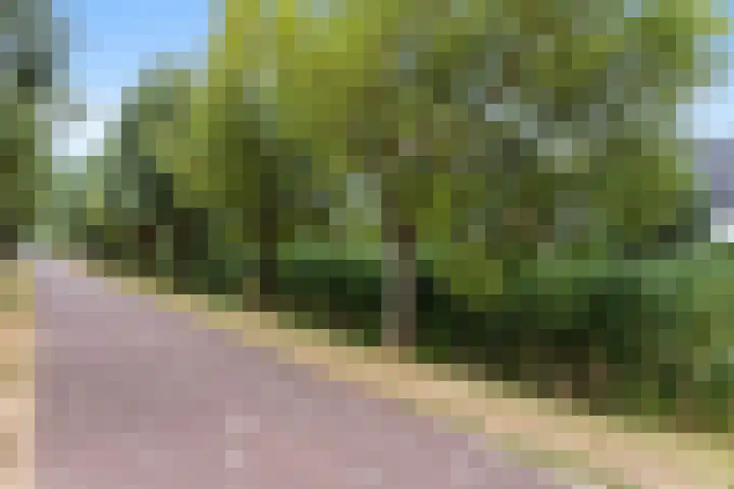 Zandberglaan 33 Den Haag thumbnail 46