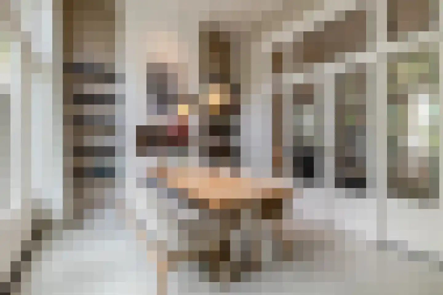 Zandberglaan 7 Breda thumbnail 13