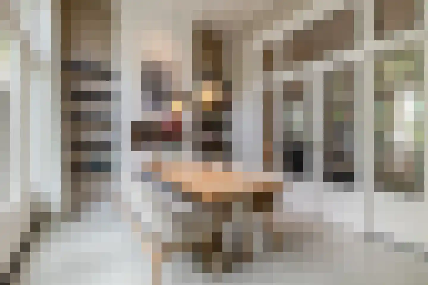 Zandberglaan 7 Breda thumbnail 14