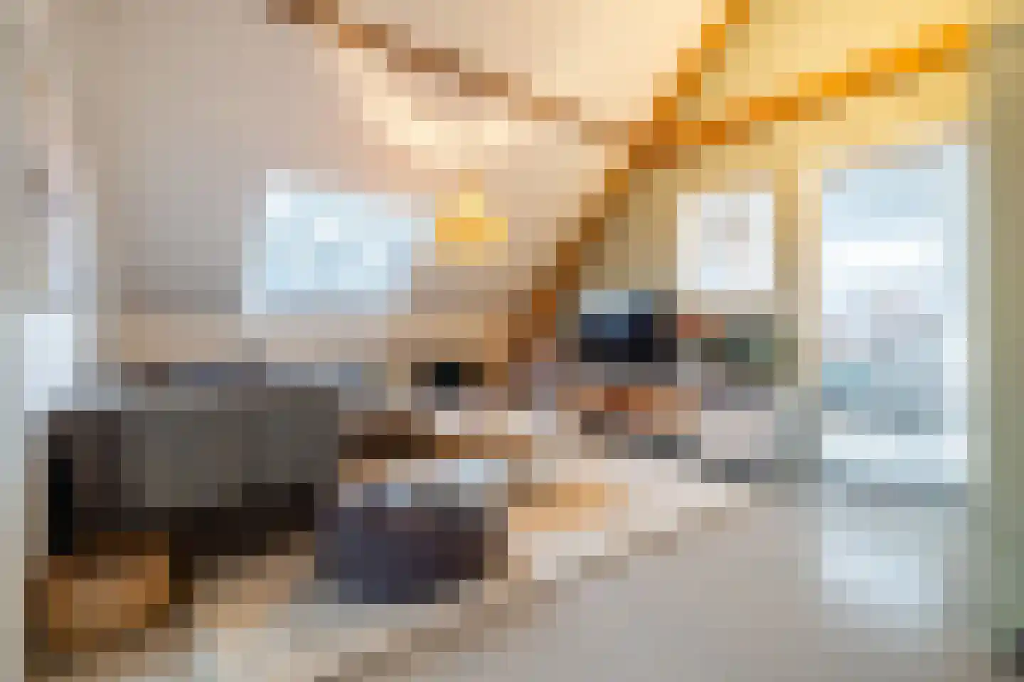 Zandberglaan 7 Breda thumbnail 25