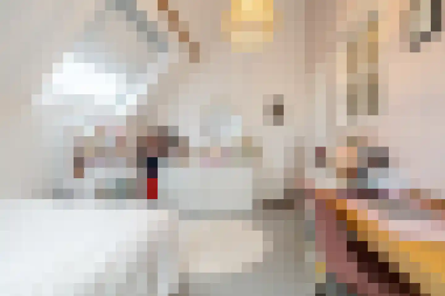 Zandberglaan 7 Breda thumbnail 30