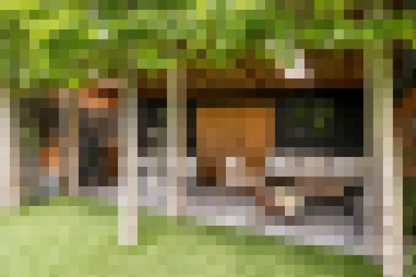 Zandberglaan 7 Breda thumbnail 35