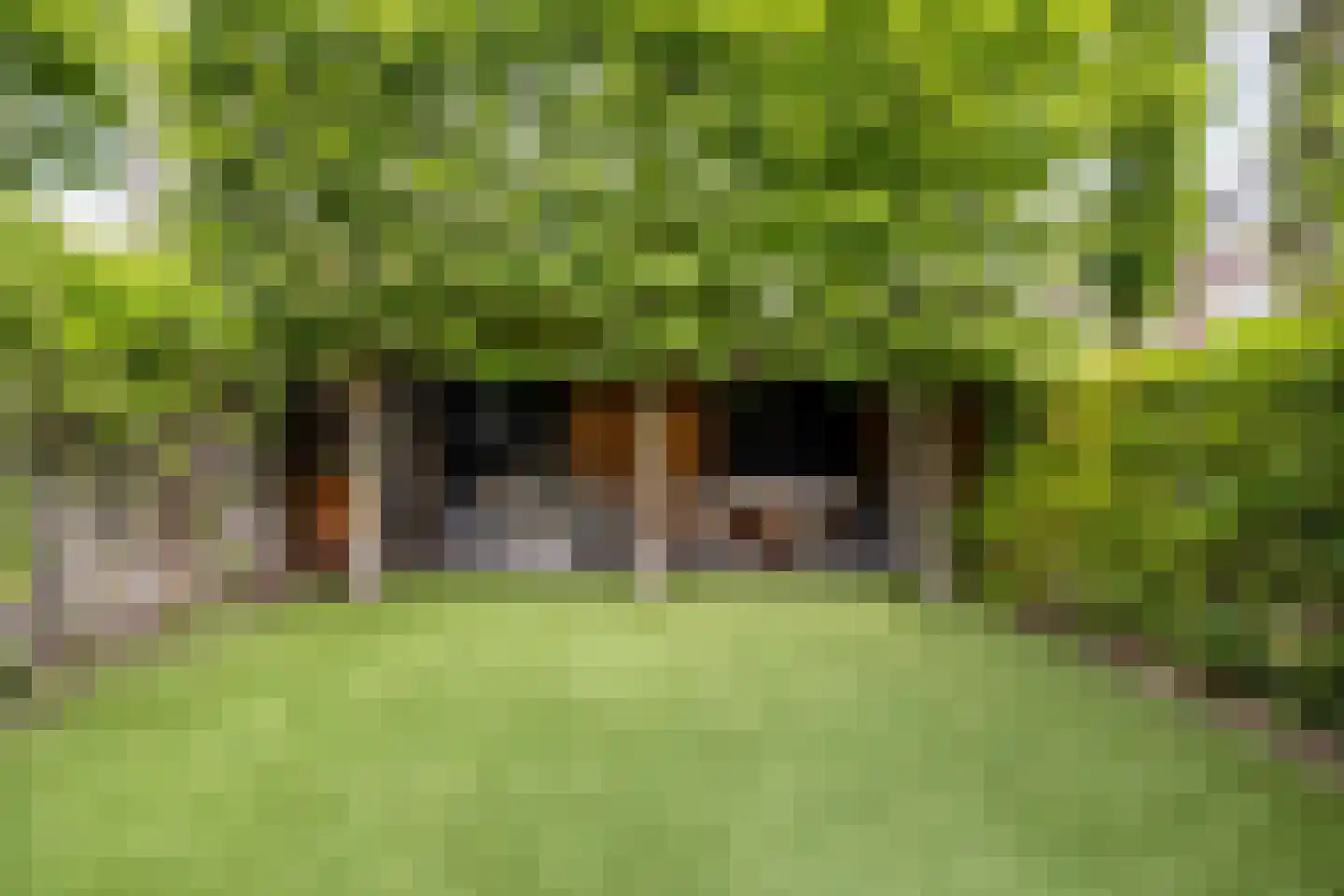 Zandberglaan 7 Breda thumbnail 39