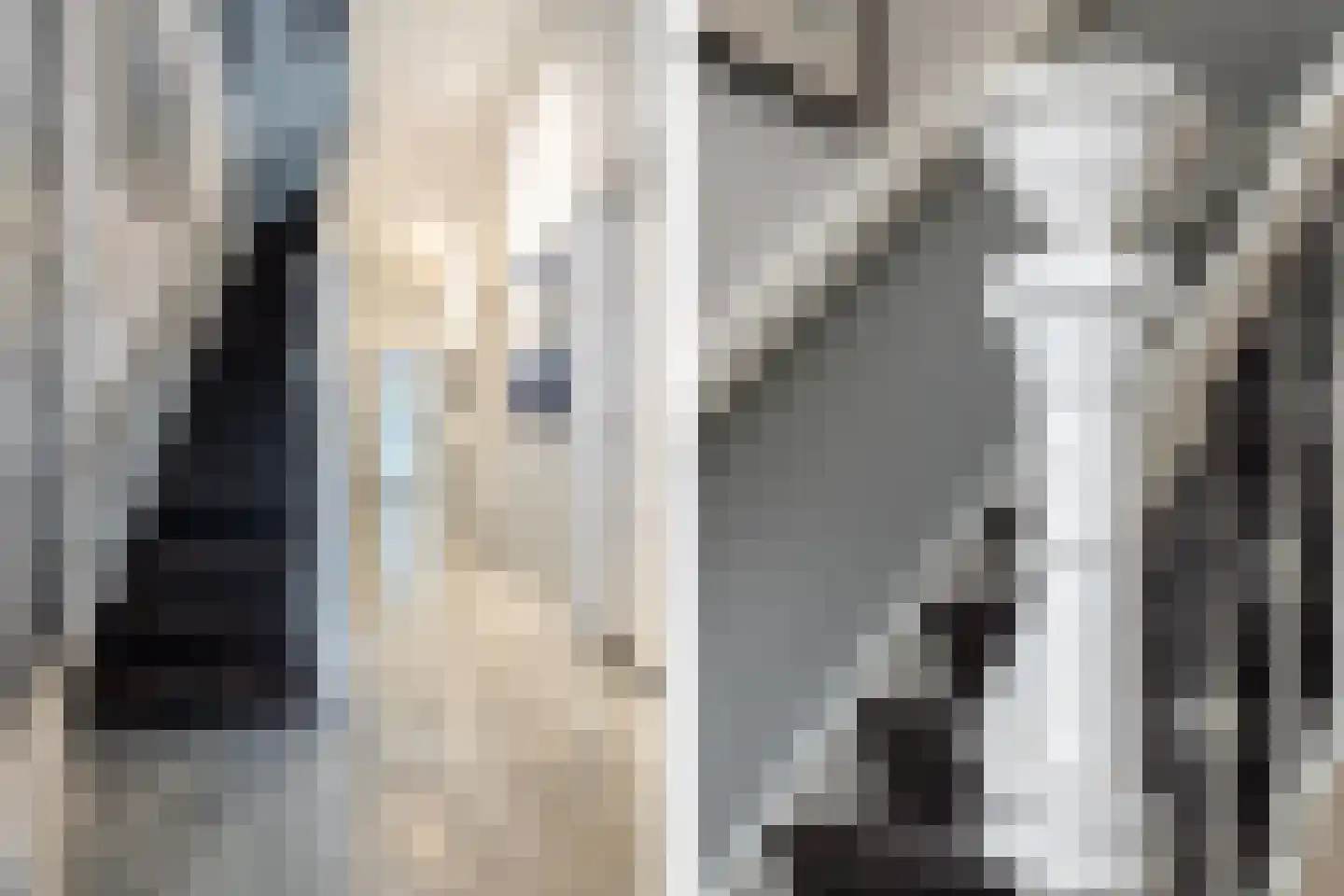 Zandberglaan 7 Breda thumbnail 4