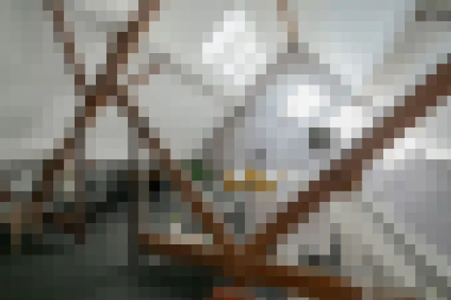 Zandbergpad 2 Breda thumbnail 100