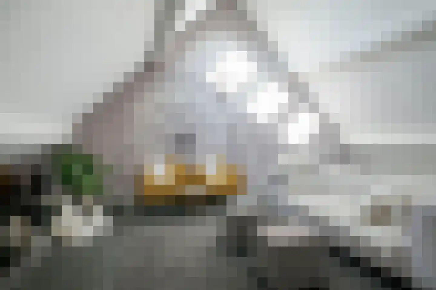 Zandbergpad 2 Breda thumbnail 102