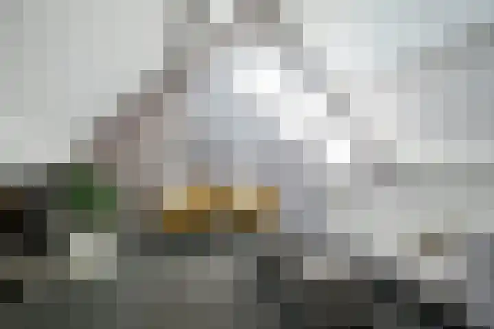 Zandbergpad 2 Breda thumbnail 102