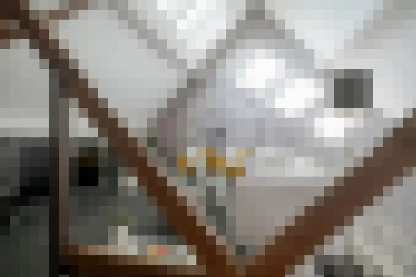 Zandbergpad 2 Breda thumbnail 103