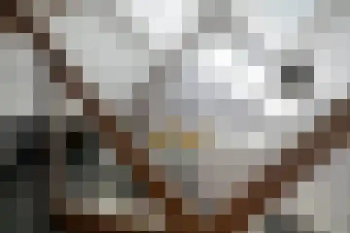 Zandbergpad 2 Breda thumbnail 102