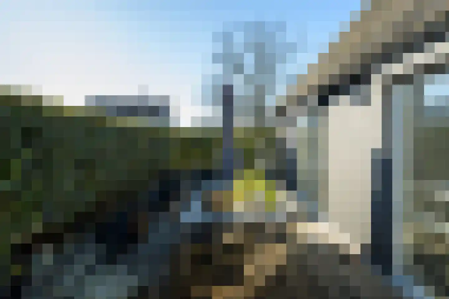 Zandbergpad 2 Breda thumbnail 105