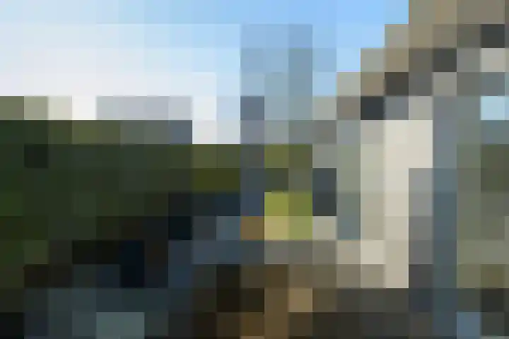 Zandbergpad 2 Breda thumbnail 104