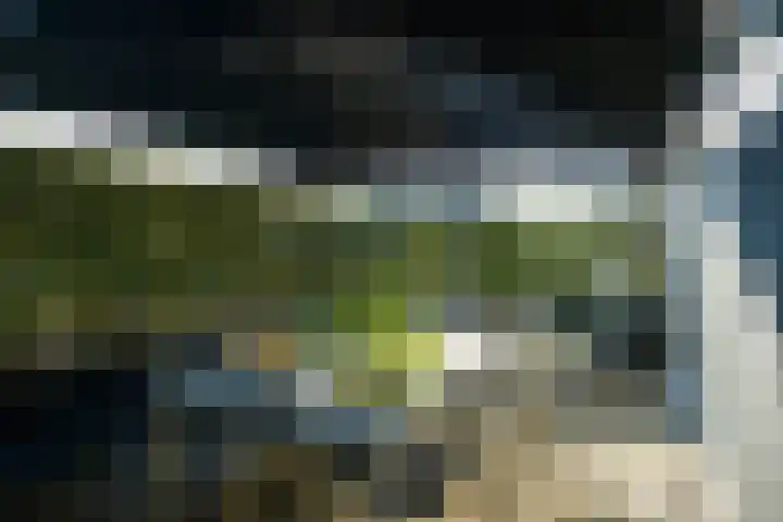 Zandbergpad 2 Breda thumbnail 106