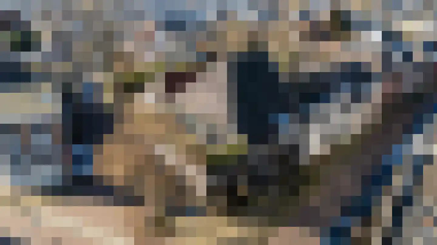 Zandbergpad 2 Breda thumbnail 112