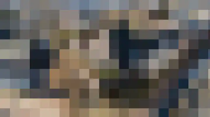 Zandbergpad 2 Breda thumbnail 112